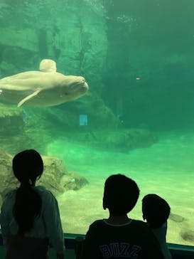 名古屋港水族館に投稿された画像（2022/4/2）