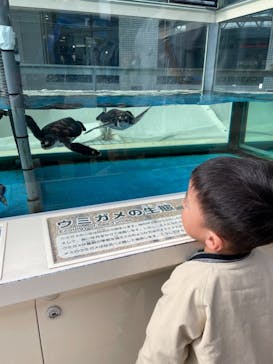 名古屋港水族館に投稿された画像（2022/4/2）