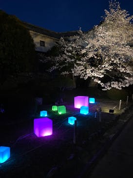 姫路城（イベント）に投稿された画像（2022/4/2）