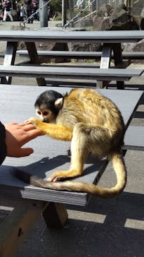 伊豆シャボテン動物公園に投稿された画像（2022/4/2）