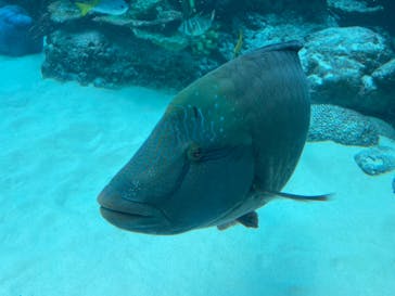 名古屋港水族館に投稿された画像（2022/4/2）