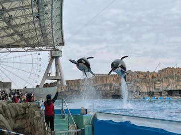 名古屋港水族館に投稿された画像（2022/4/2）