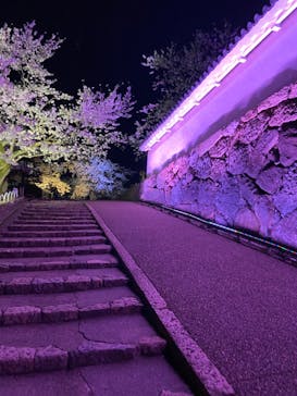 姫路城（イベント）に投稿された画像（2022/4/2）