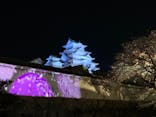 姫路城（イベント）に投稿された画像（2022/4/2）