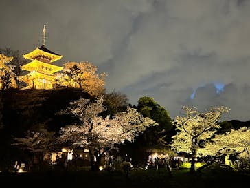 三溪園に投稿された画像（2022/4/2）