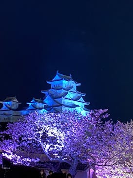 姫路城（イベント）に投稿された画像（2022/4/2）