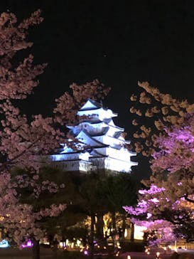 姫路城（イベント）に投稿された画像（2022/4/2）