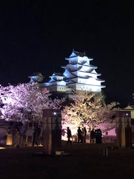 姫路城（イベント）に投稿された画像（2022/4/2）