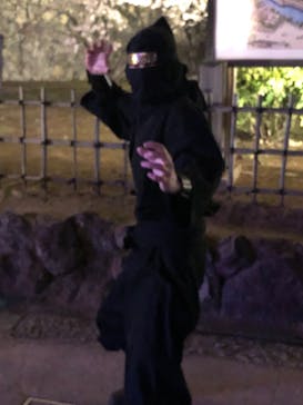 姫路城（イベント）に投稿された画像（2022/4/2）