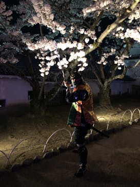 姫路城（イベント）に投稿された画像（2022/4/2）