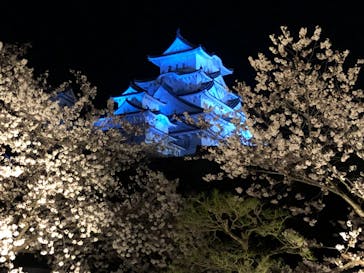 姫路城（イベント）に投稿された画像（2022/4/2）