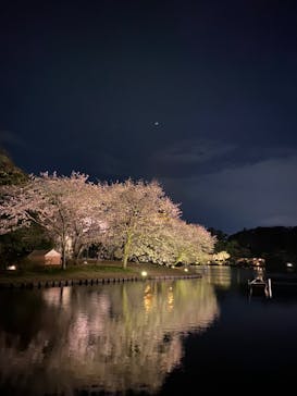 三溪園に投稿された画像（2022/4/2）