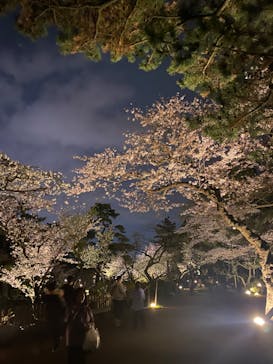 三溪園に投稿された画像（2022/4/2）