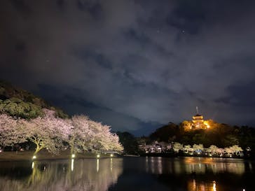 三溪園に投稿された画像（2022/4/2）