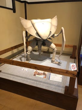 国立科学博物館　特別企画展「ポケモン化石博物館」に投稿された画像（2022/4/2）
