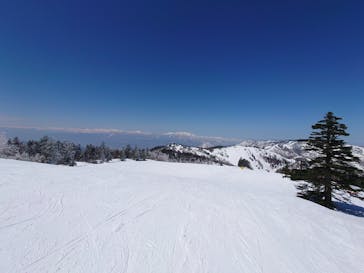 志賀高原マウンテンリゾートに投稿された画像（2022/4/2）