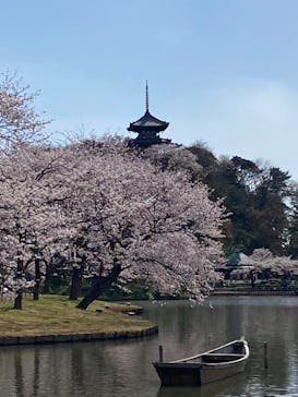 三溪園に投稿された画像（2022/4/2）