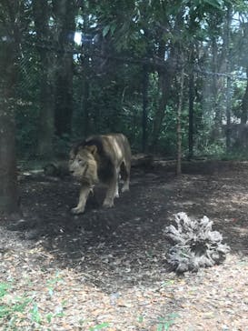 よこはま動物園ズーラシアに投稿された画像（2022/4/2）