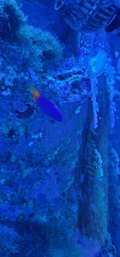 マクセル アクアパーク品川に投稿された画像（2022/4/2）