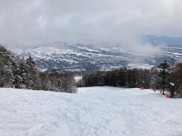 富士見パノラマリゾートに投稿された画像（2022/4/2）