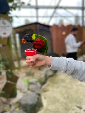 OKINAWAフルーツらんどに投稿された画像（2022/4/2）