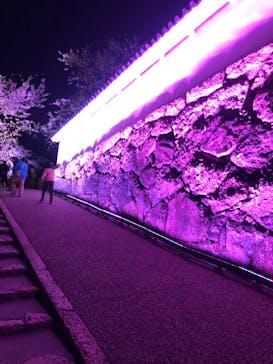 姫路城（イベント）に投稿された画像（2022/4/2）
