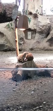 那須どうぶつ王国に投稿された画像（2022/4/2）