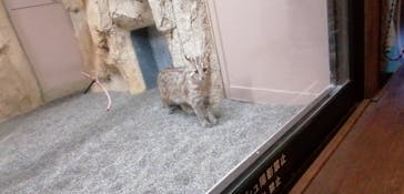 那須どうぶつ王国に投稿された画像（2022/4/2）