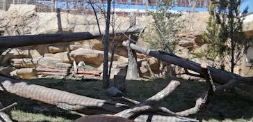 那須どうぶつ王国に投稿された画像（2022/4/2）