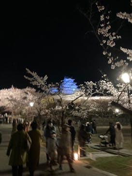 姫路城（イベント）に投稿された画像（2022/4/2）