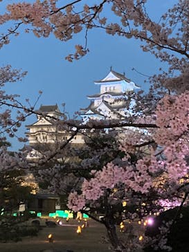 姫路城（イベント）に投稿された画像（2022/4/2）