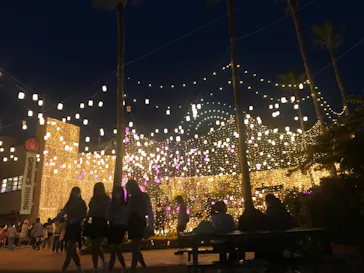 ひらかたパークに投稿された画像（2022/4/2）