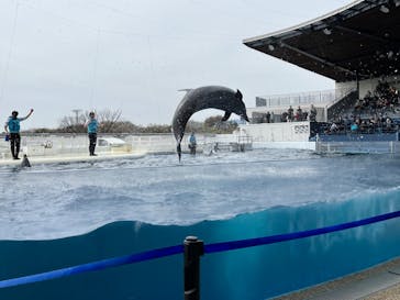 京都水族館×ニデック京都タワーに投稿された画像（2022/4/2）