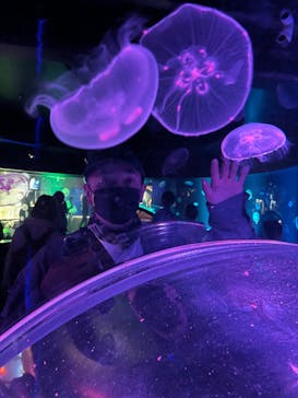 京都水族館×ニデック京都タワーに投稿された画像（2022/4/2）