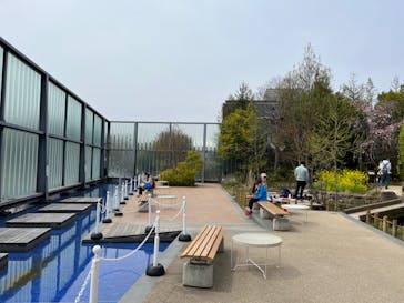 京都水族館×ニデック京都タワーに投稿された画像（2022/4/2）