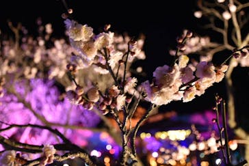 せんだい農業園芸センター　みどりの杜に投稿された画像（2022/4/2）