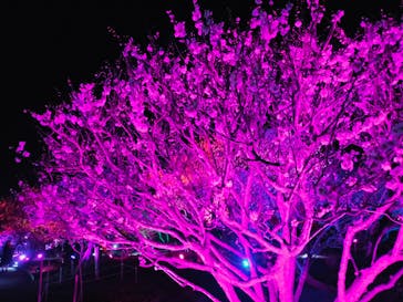 せんだい農業園芸センター　みどりの杜に投稿された画像（2022/4/2）