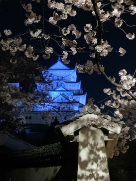 姫路城（イベント）に投稿された画像（2022/4/2）