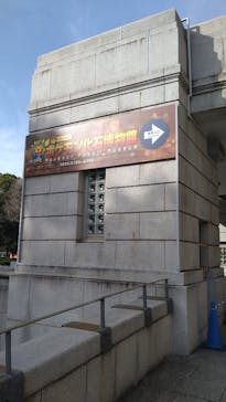 国立科学博物館　特別企画展「ポケモン化石博物館」に投稿された画像（2022/4/2）