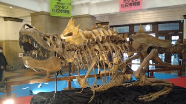 国立科学博物館　特別企画展「ポケモン化石博物館」に投稿された画像（2022/4/2）