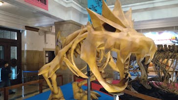 国立科学博物館　特別企画展「ポケモン化石博物館」に投稿された画像（2022/4/2）