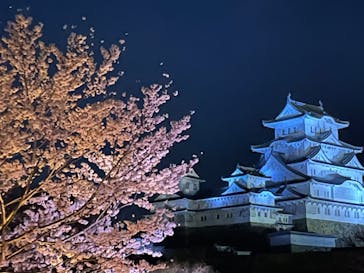 姫路城（イベント）に投稿された画像（2022/4/2）