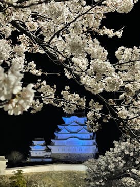 姫路城（イベント）に投稿された画像（2022/4/2）