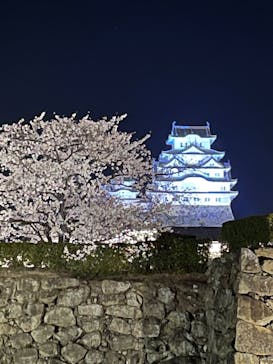 姫路城（イベント）に投稿された画像（2022/4/2）