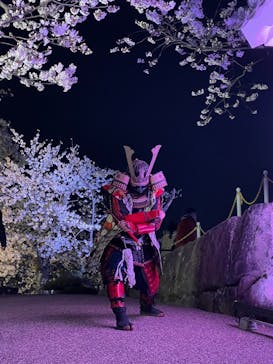 姫路城（イベント）に投稿された画像（2022/4/2）