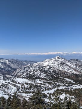 横手山・渋峠スキー場に投稿された画像（2022/4/2）
