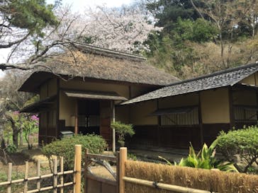 三溪園に投稿された画像（2022/4/2）