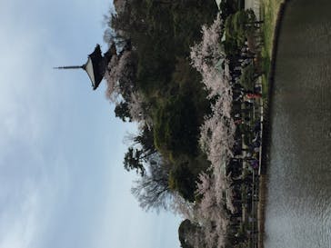 三溪園に投稿された画像（2022/4/2）