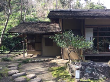 三溪園に投稿された画像（2022/4/2）