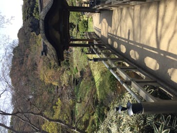 三溪園に投稿された画像（2022/4/2）